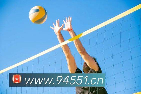 App Interface Preview